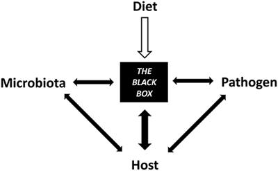 Diet-Microbe-Host Interactions That Affect Gut Mucosal Integrity and Infection Resistance